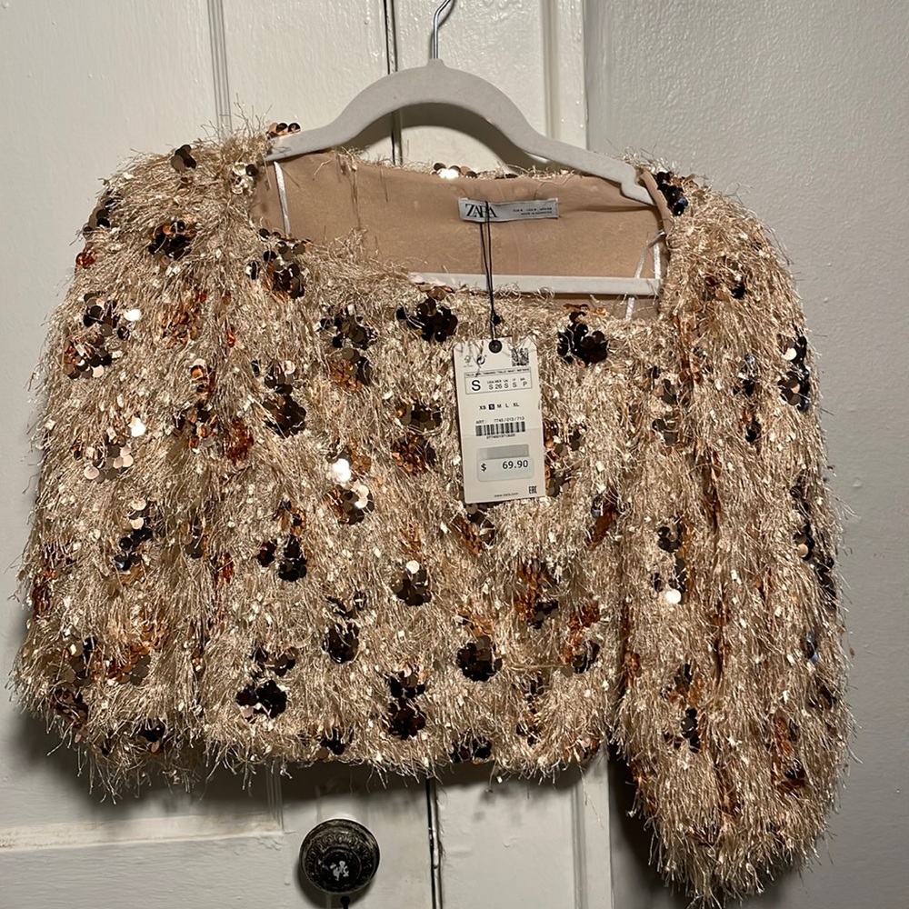 Zara Sequin Pink Cropped Top